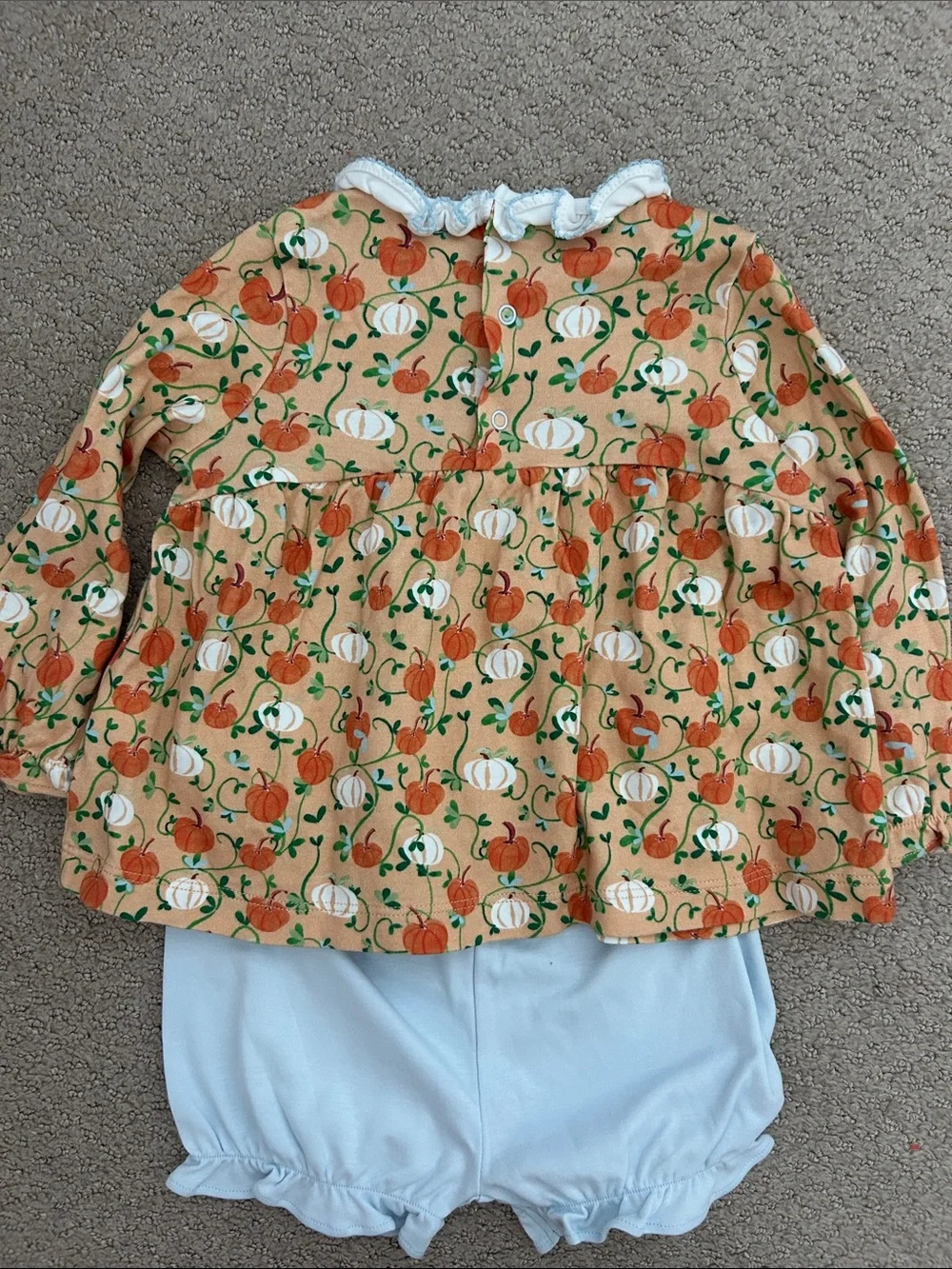 VGUC Proper Peony Autumn Vine Pumpkin Print Long Sleeve bloomer set